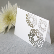 Image of chrysanthemum