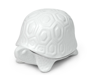 Image of Turtle Box