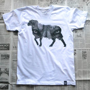 Image of Wolf In Sheep's Clothing 