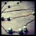 Image of Poppy Pearl Necklace