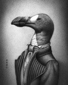 Image of Great Auk, 1844 | print