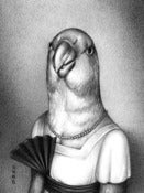 Image of Carolina Parakeet, 1918 | Print