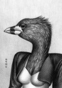 Image of Atitlán Grebe, 1989 | Print