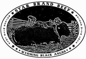 Image of STAR BRAND T-Shirt / Organic Bamboo