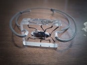 Image of Friendship bracelet featuring 'Margaery the beetle' (Melolonthidae)