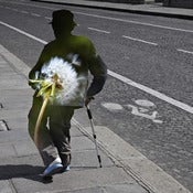 Image of Untitled 52
