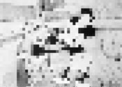 Image of Oriole Organs: Found Vol. 2/4