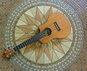 Image of Moku Solid Mahogany Cutaway w/ Fishman P/U + case