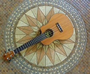Image of Moku Solid Mahogany Cutaway w/ Fishman P/U + case