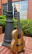 Image of KALA Pacific Walnut Tenor w/bag set up