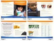 Image of MannaRelief PhytoBlend™ Powder Brochure • 10/pk