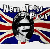 Image of Jamie Reid 'Never Trust a Punk' POP edition