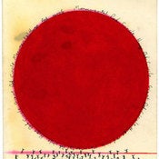 Image of Jamie Reid 'Red Dot'