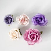 Image of Whole Lotta Rosie Hairclips