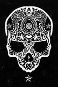 Image of STAR SKULL