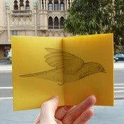 Image of Zine - A beating of wings (i)