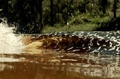 Image of Pipe Dream