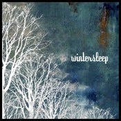 Image of Wintersleep - Self Titled