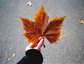 Image of <i>autumn is here</i><br>6" x 8" print</br>