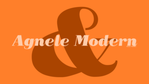 Image of Agnele Modern - TYPEFACE