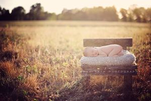 Image of Country Lane Mossy Toddler Bench or Newborn Prop Bed