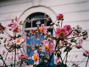 Image of <i>each day</i><br>6" x 8" print</br>