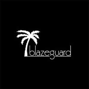 Image of Blazeguard DVD