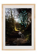 Image of Print "Bohemian forest"
