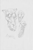 Image of Original Creatures Pencil Drawing - A11
