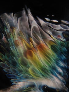 Image of Nano-Limited Edition Prints, Signed and Numbered!