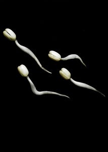 Image of Bean sprouts