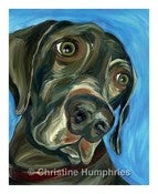 Image of Weimaraner print