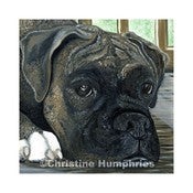 Image of Brindle Boxer print