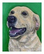 Image of Yellow Lab print