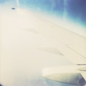 Image of Polaroid - wing