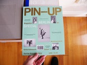 Image of Pin-up #12