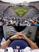 Image of Yankee Fan - YankeeStadium,Bronx,NY