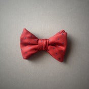 Image of Boys Red & Navy Polkadot