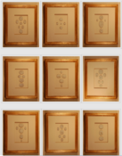 Image of Framed intaglios, set of nine