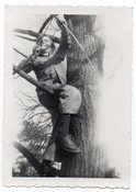 Image of KID WITH BOW AND ARROW IN A TREE VINTAGE SNAPSHOT 