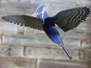 Image of JCR BIRDS : BLUE JAY