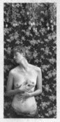 Image of Bellows Print "November, Composition With Roses" - large