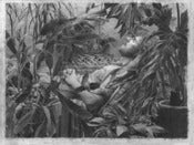 Image of Bellows Print "Self Portrait, Resting" - large