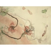Image of Susan Spencer Hayter: Shale Shuffle II