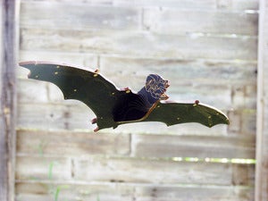Image of JCR BAT : MEXICAN FREE-TAILED 