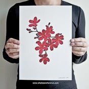 Image of Chinoiserie - Jatropha Integerrima