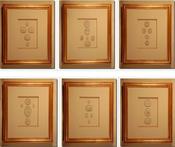 Image of Framed intaglios, set of six