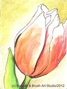 Image of Tulip Bud - Pen & Ink Illustration
