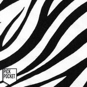 Image of Tshirt Zebre