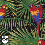 Image of Tshirt Perroquets 2